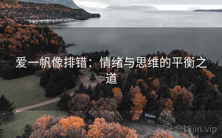 爱一帆像排错：情绪与思维的平衡之道